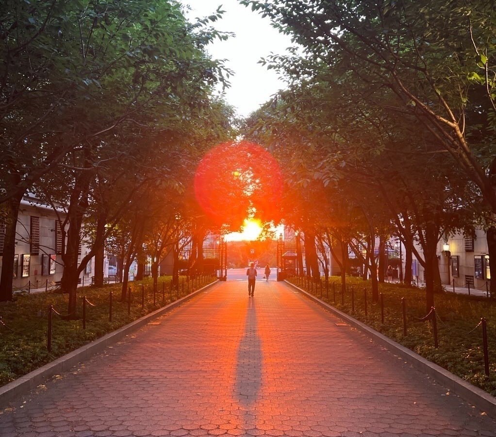 Solstice sunset on College Walk, Columbia University