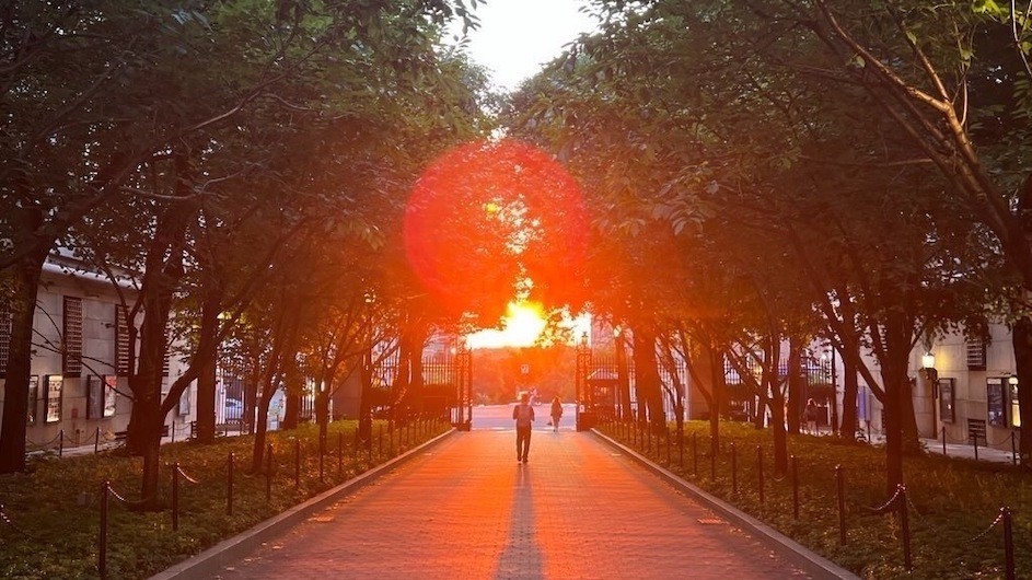 Summer sunset on college walk