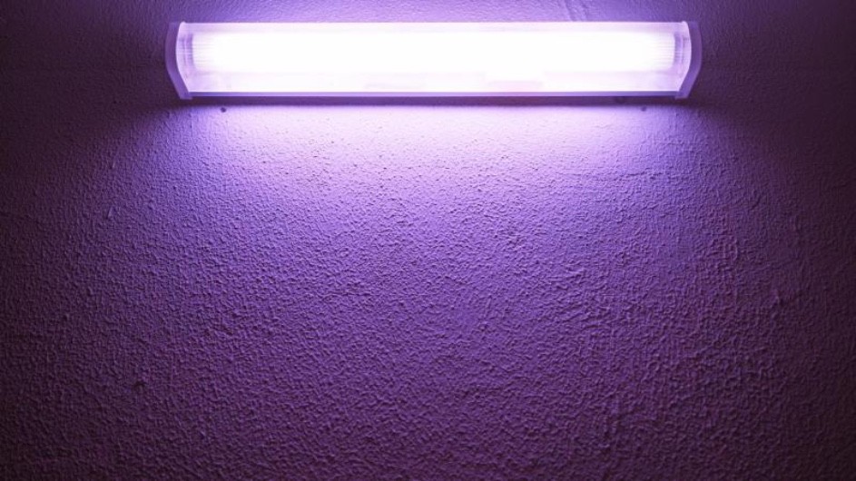 purple UV light