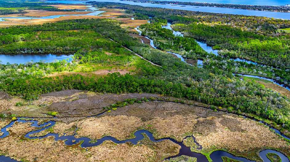 aerial image of wetlands