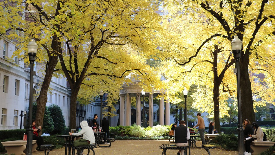 Students sit at tables outside Hamilton Hall. The leaves of the trees have all turned yellow.