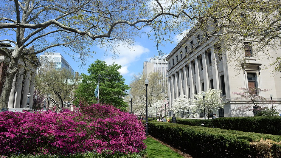 Columbia's Morningside campus buildings, surrounded by blooming trees. 