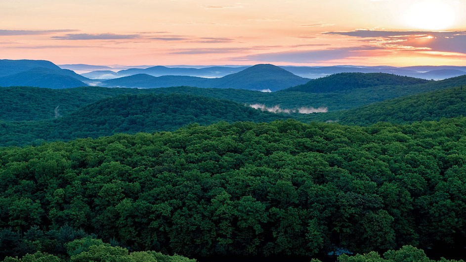 The Black Rock Forest.