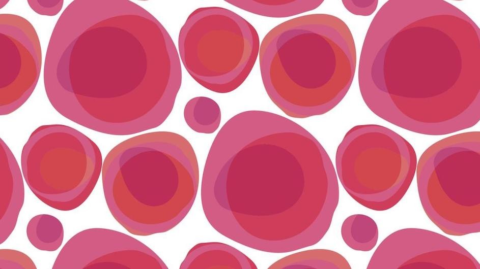 An illustration of blood cells.