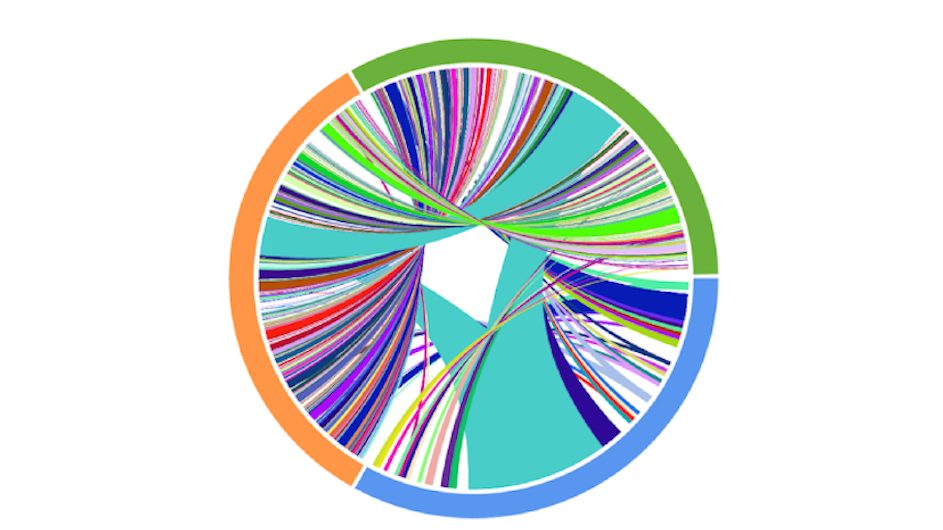 A Circos plot representing the results of matched T-cell receptor sequencing collected on a patient undergoing anti-PD1 therapy. Colors indicate time of collection (blue: pre-treatment, orange: on treatment, green: on-later), and connections indicate overlap of identical TCRs. These results demonstrate a striking diversification of T-cell clonotypes over time. Credit: Yiping Wang/CUIMC