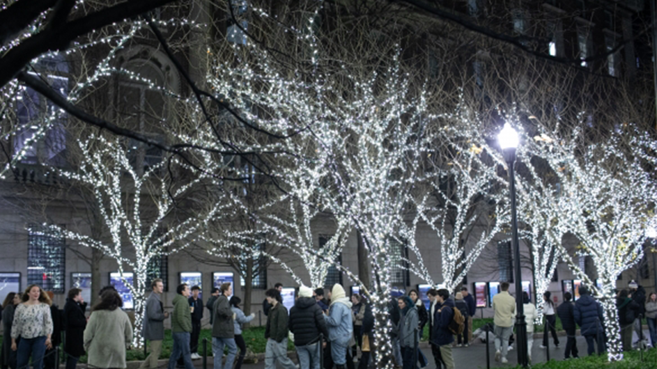 Holiday lights on College Walk.