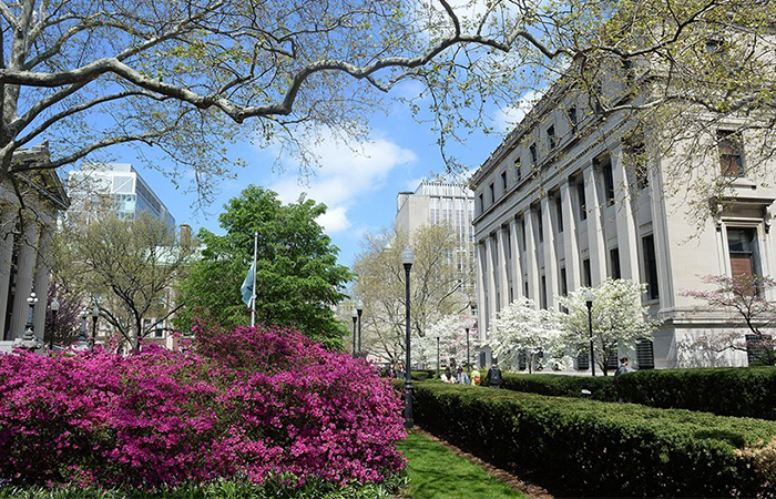 A springtime view of Columbia's campus between Low Library and Earl Hall. 