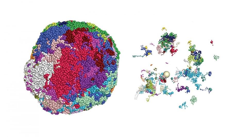 The genome inside an olfactory cell’s nucleus is shown as a tangle of color-marked chromosomes with genomic locations of olfactory receptor genes revealed on the right (Lomvardas lab, Columbia's Zuckerman Institute).