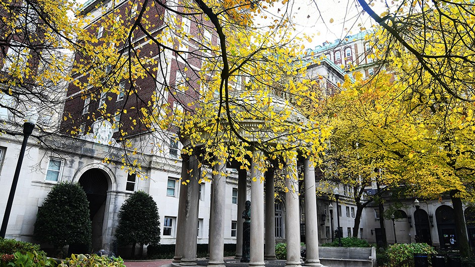 Vibrant yellow autumn leaves overhang above Van Amringe Memorial at Columbia University. 