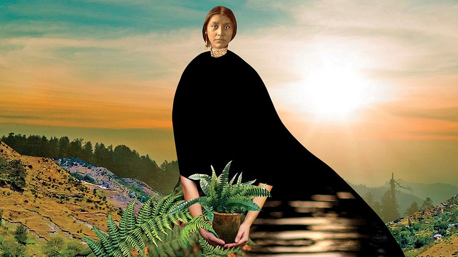 Johanna Goodman Johanna Goodman