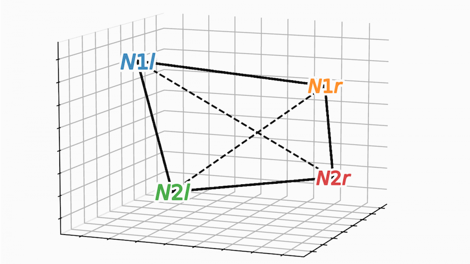 Geometric arrangement for the coding of two animals’ identities (N1 and N2) in different positions (left and right).