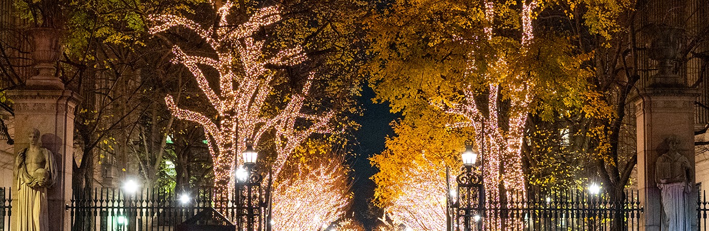 Holiday Lights illuminate the trees alongside College Walk at the front gates flanked by two stone sculptures at Columbia University.