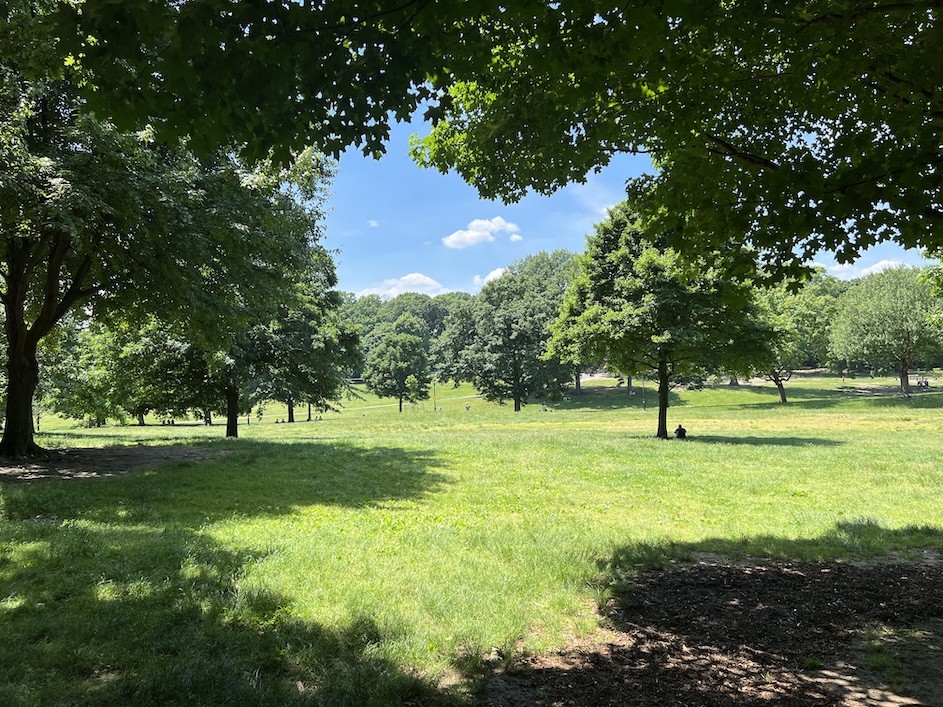 Prospect Park's Long Meadow shimmers in the late spring heat. Photo by Christopher D. Shea. Prospect Park's Long Meadow shimmers in the late spring heat. (Christopher D. Shea)