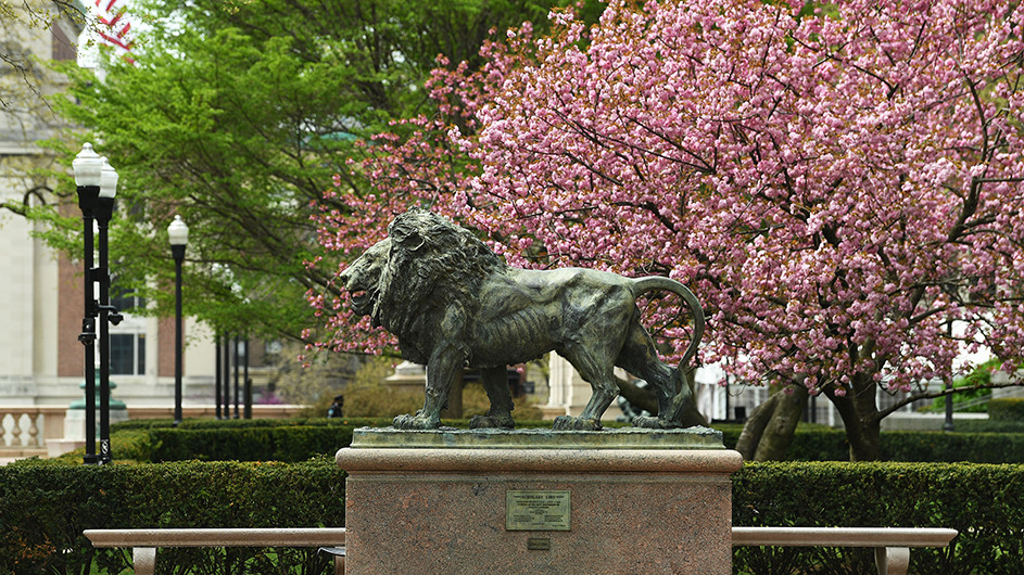 SCholars Lion