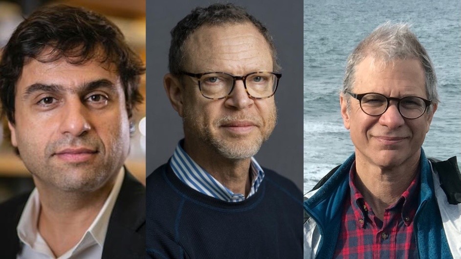 Hashim M. Al-Hashimi; Howard W. French, and Michael I. Weinstein
