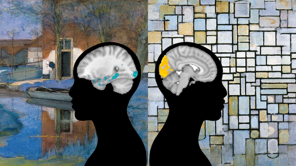 Brain scans show areas that tend to activate when viewing art that is representational (left) vs abstract (right). (Credit: Piet Mondrian / Celia Durkin / Shohamy lab).