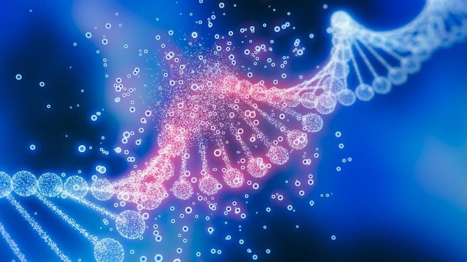 Illustration of DNA