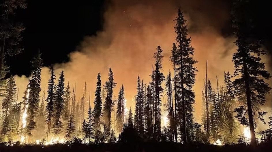 Forest fire at Umatilla National Forest. Credit: Brendan O’Reilly/U.S. Forest Service-Pacific Northwest Region via Wikimedia Commons
