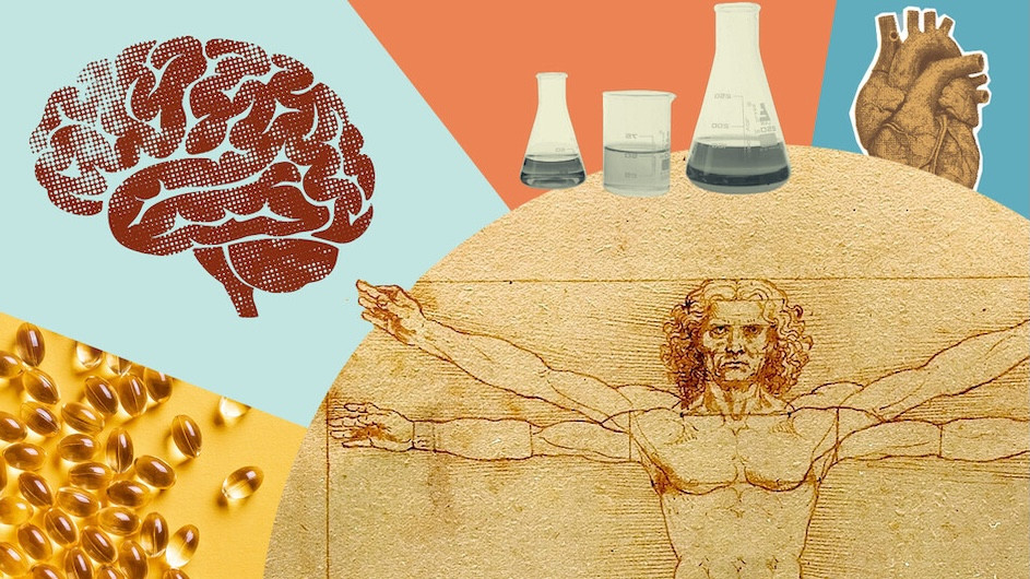 An illustration of test tubes, a brain, a human body.