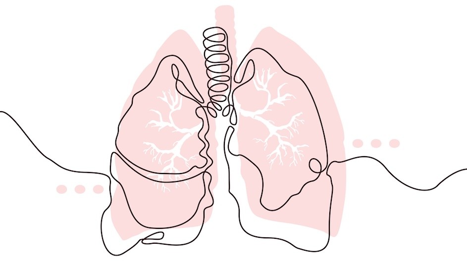 Illustration of a human lung