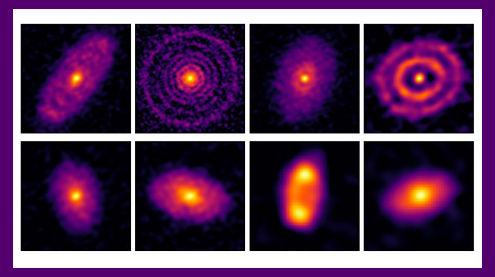 Images captured by ALMA's most extended antenna configuration reveal surprisingly rich disk structures in the Sigma Orionis cluster in the Orion constellation. [ALMA (ESO/JAO/NAOJ/NRAO), J. Huang et. al.]