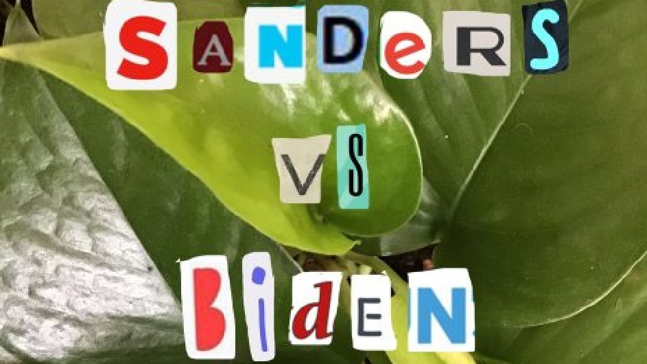 colorful text overlayed on leafy background