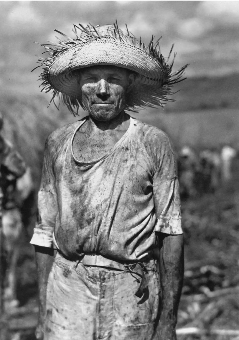 Sugarcane cutter working in a field that had been burned, near Guánica, 1941, from Jack Delano's photography book Puerto Rico Mio. Photo Courtesy of the Delano Collection at Rare Book and Manuscript Library