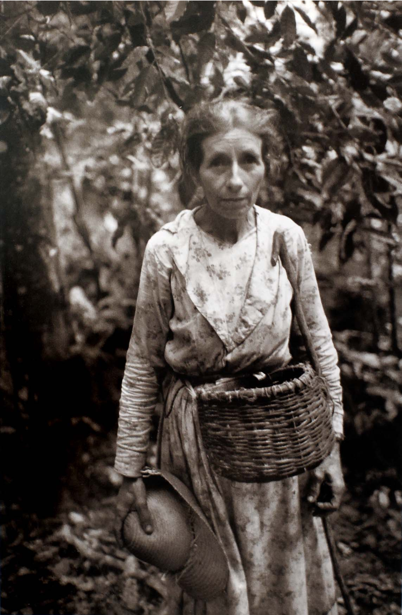 Coffee picker on a farm near Corozal, 1941, from Jack Delano's photography book Puerto Rico Mio. Photo Courtesy of the Delano Collection at Rare Book and Manuscript Library