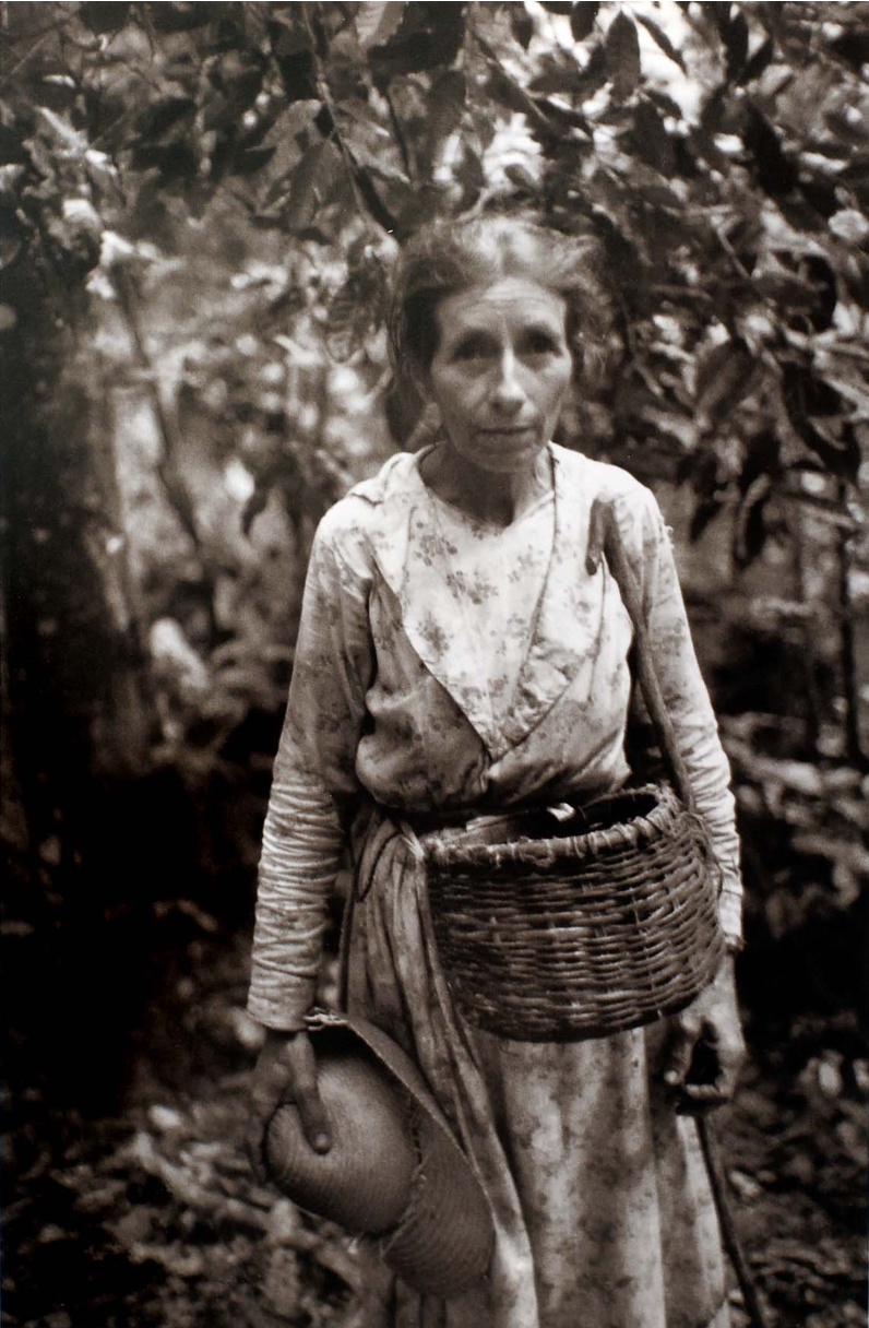 Coffee picker on a farm near Corozal, 1941, from Jack Delano's photography book Puerto Rico Mio. Photo Courtesy of the Delano Collection at Rare Book and Manuscript Library Coffee picker on a farm near Corozal, 1941, from Jack Delano's photography book Puerto Rico Mio. Photo Courtesy of the Delano Collection at Rare Book and Manuscript Library