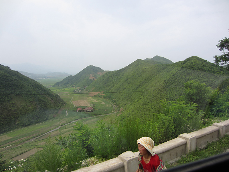 Green verdant landscape