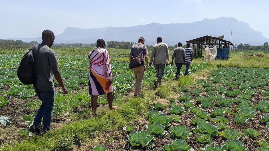 A Columbia World Projects team traveled with local surveyors to farms across Uganda, interviewing more than 1000 farmers about their energy use. 