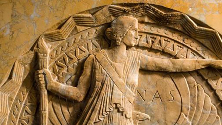 At the end of April, the National Academy of Sciences announced the election of its new members. bronze warrior on flat bronze background with circular logo