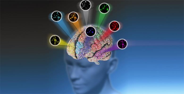 rays of various colors sprout from the top of head