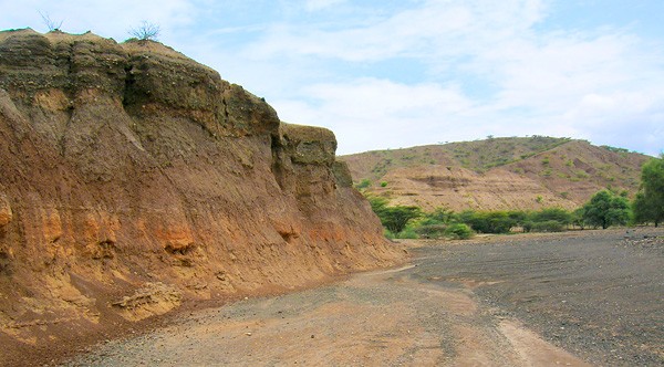 Tools made by early humans were found at Kokiselei, Kenya, in Lake Turkana's ancient shoreline sediments pictured above. Credit: Lamont-Doherty. A road cut