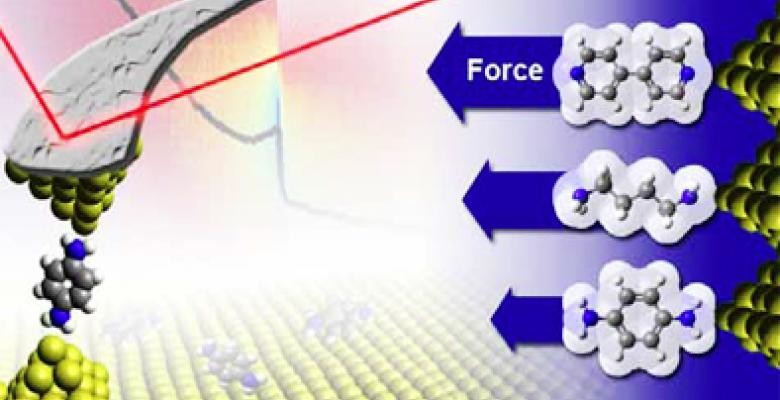 Latha Venkataraman, a professor of applied physics and applied mathematics, discovered a new technique to measure the electrical conduction of single molecules wired to electrodes. This graphic shows the maximum force that a molecule circuit can sustain under stress and shows that the force varies with the chemical character of the molecule making up the circuit. This graphic shows the maximum force that a molecule circuit can sustain under stress and shows that the force varies with the chemical character of the molecule making up the circuit.