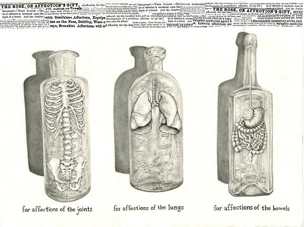 A graphite pencil and collage piece produced for Crossland’s illustration class by Alaina Wibberly (CC'18), based on medicine bottles excavated in lower Manhattan. Image Courtesy of Zoë Crossland a graphite on paper illustration of three bottles. One contains a small spinal chord, vertebrae, and pelvis; the second contains a pair of lungs; the third contains a stomach and intestines.