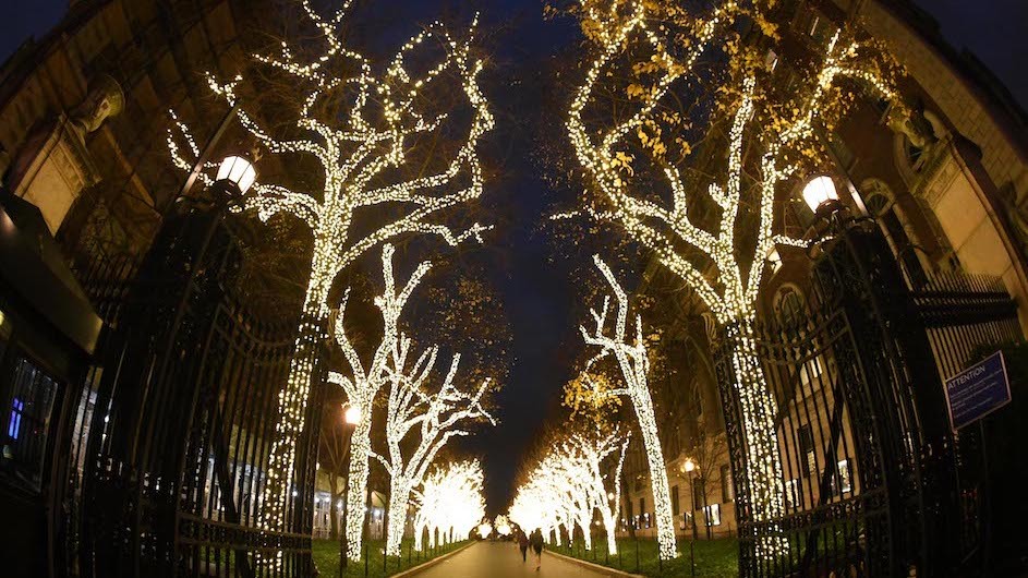 A photo at night of trees on a walkway lit with white Christmas lights. There are open gates in the foreground.