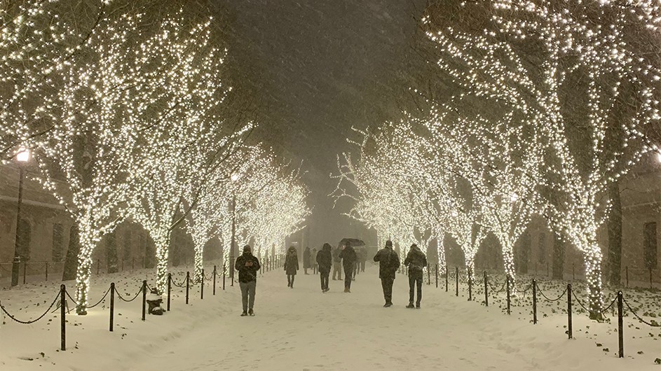 White flurries swirl across a walkway lined by trees covered in white twinkle lights. A few shadowy figures make their way through the center of the walkway.