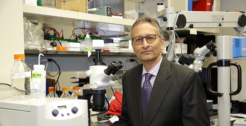 Anil Lalwani in his laboratory