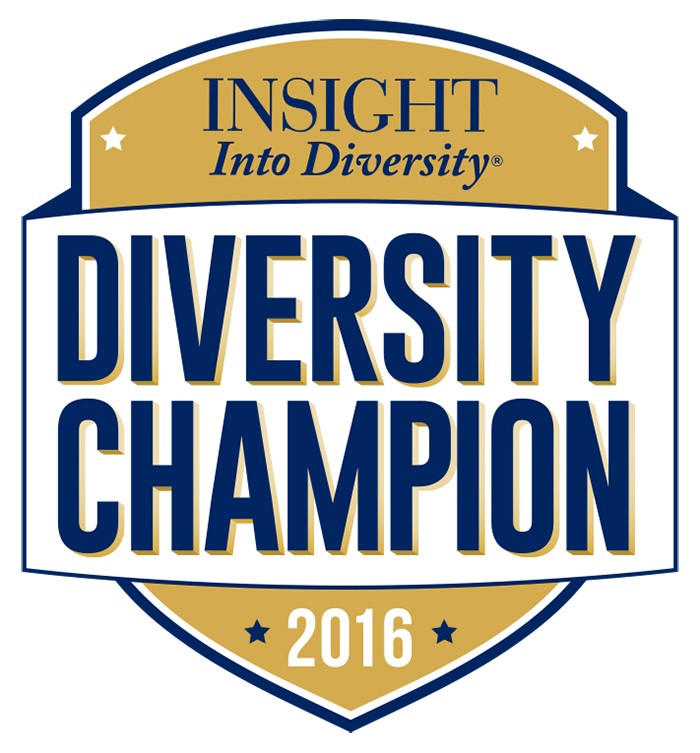 Insight into diversity, diversity champion 2016