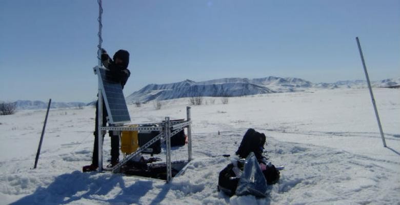 Researchers set out four microphones like this one in the foothills of Alaska's Brooks Range to record songbird calls over five breeding seasons. In a new study, they describe an automated tool for sifting through thousands of hours of recordings to estimate when migratory birds arrive en masse in the Arctic. (Photo credit: Heather Greaves) Scientist adjusts solar panel in the arctic