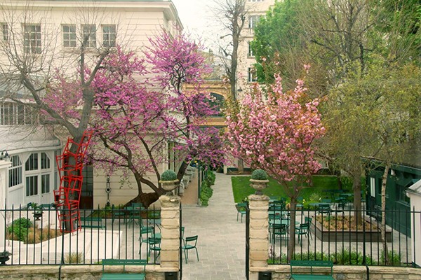 Pink trees bloom in front of a white neo classical building
