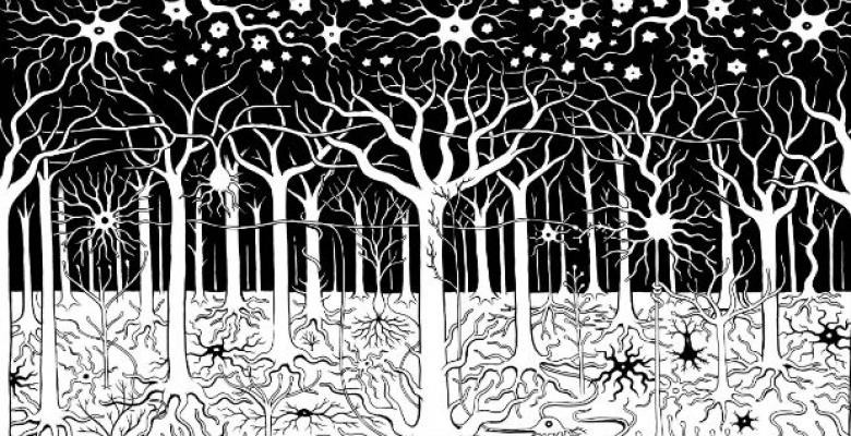 In Matteo Farinella's rendering of the brain, a forest of neurons spread their branches to the sky and a bright Milky Way of neurons shine down upon them. (Image courtesy of Farinella) An illustration of neurons as trees