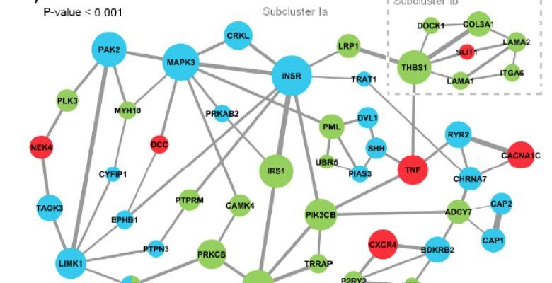 Linked community of cells