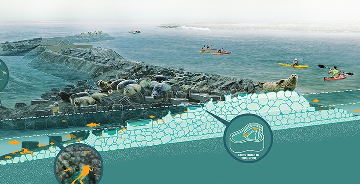 image of an aqua colored sea wall with boaters and seals sprawled across sand
