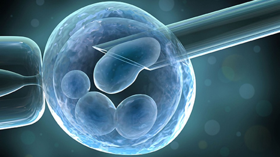 in vitro fertilization babies