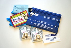 blue rectangular pouch with writing in white, blue latex gloves, green and white card with information, as well as light blue card, two nasal sprays in white in plastic cases 