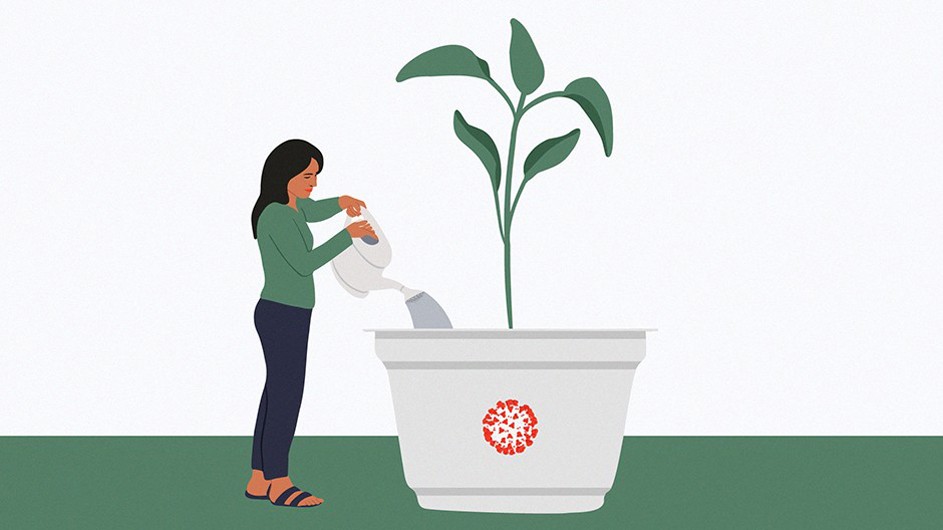 By Julie Winegard graphic of young woman with green shirt and brown hair watering oversized green plant in white planter with orange logo