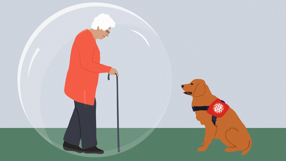 Elderly woman with white hair, red shirt and black pants walking with cane toward a sitting, brown therapy dog