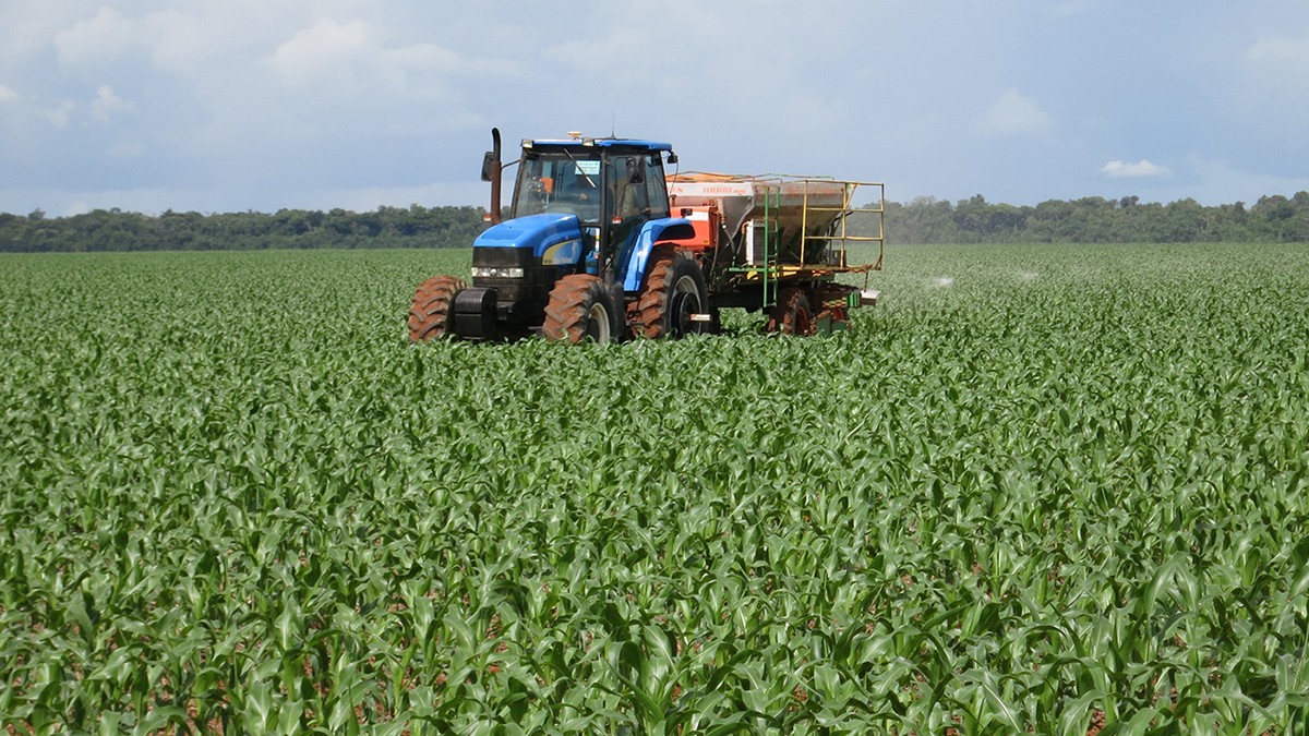 Blue and red tractor at center of field of green crops with blue sky and trees in background 